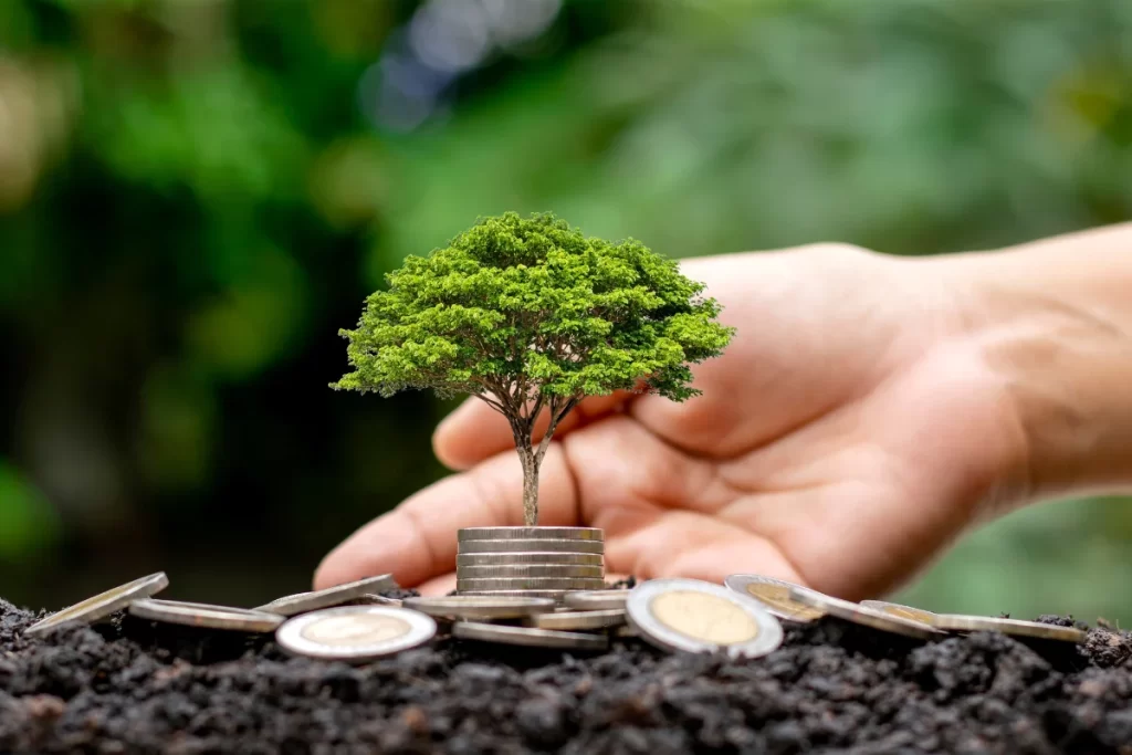 How to Invest Money Even with a Low Salary